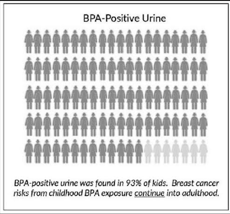 BPA positive urine diagram